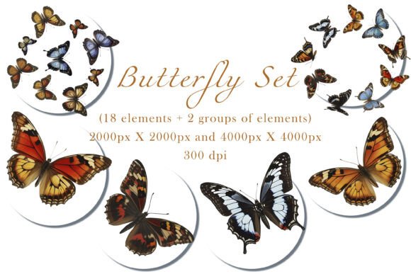 Clipart Colorful Butterfly: A Practical Guide for High-Resolution Creative Projects