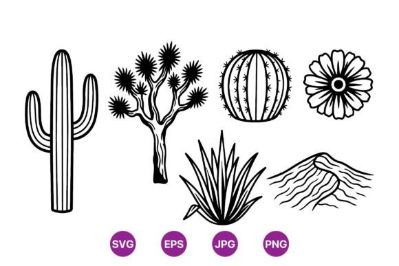 Desert Cactus Botanical Illustration Guide