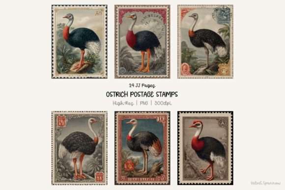Revitalizing Analog Creativity with Ostrich Postage Stamps 24 Png